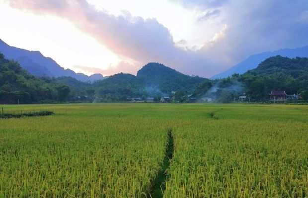 Pom Coong Village